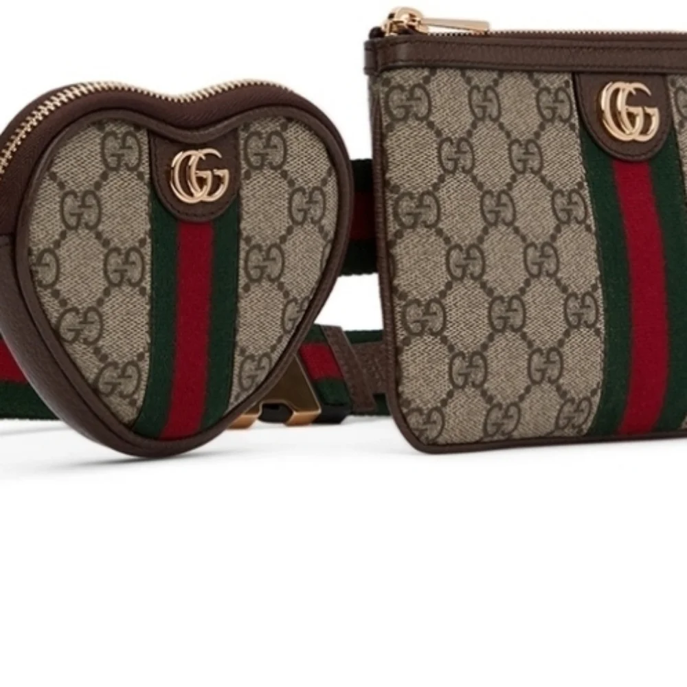 Gucci Beige and Brown Belt Bag Set - Picture 4 of 7